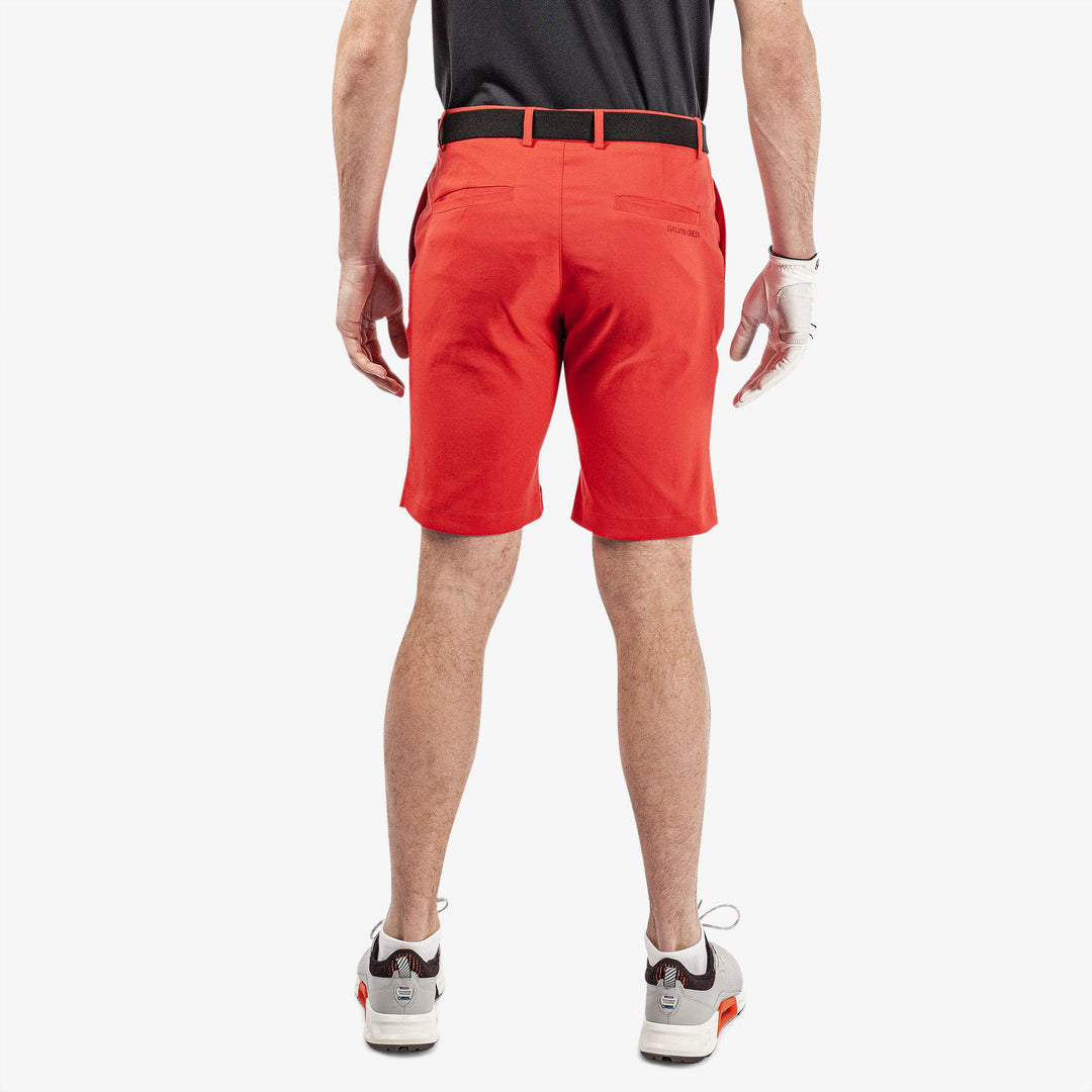 Paul is a Breathable golf shorts for Men in the color Red(6)