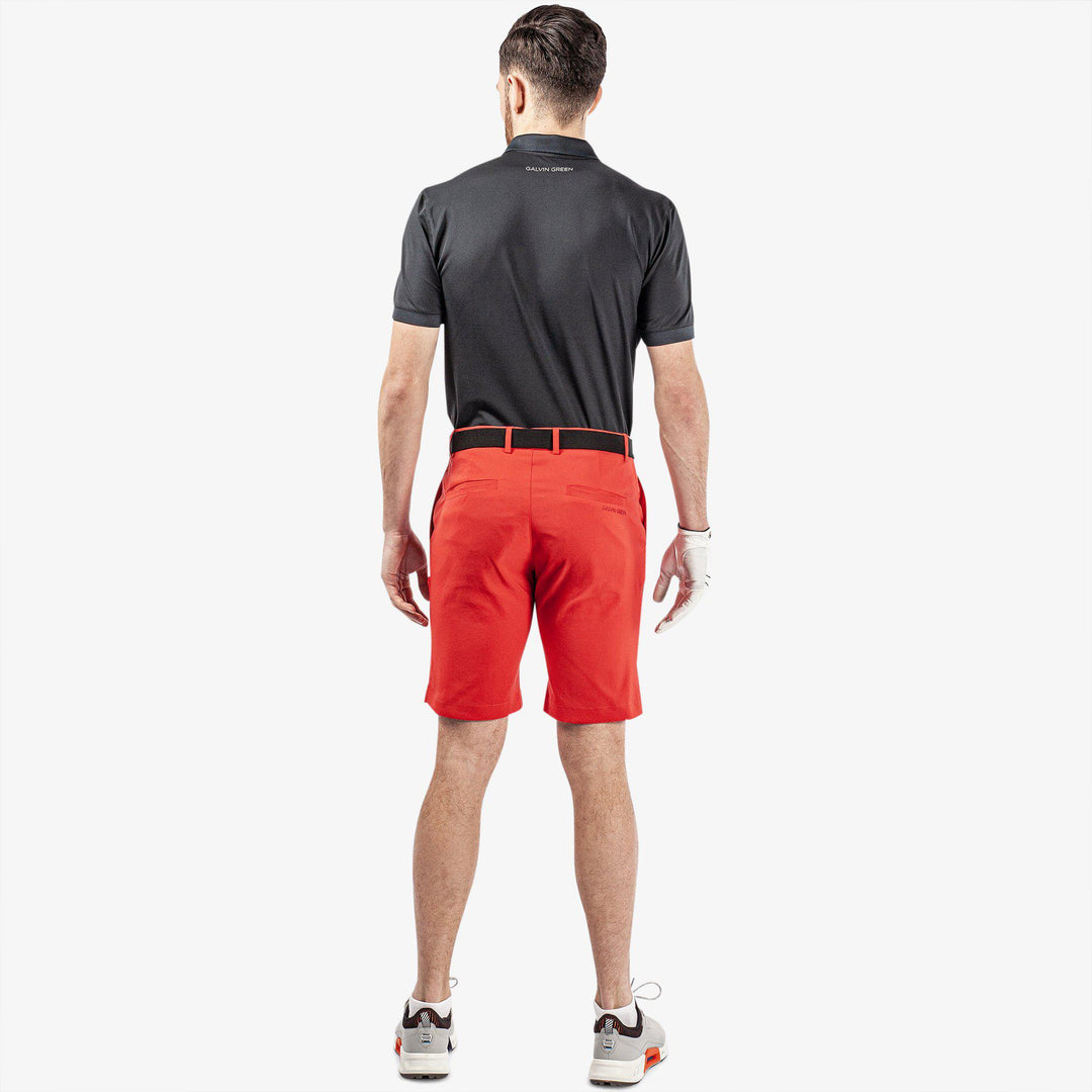 Paul is a Breathable golf shorts for Men in the color Red(8)