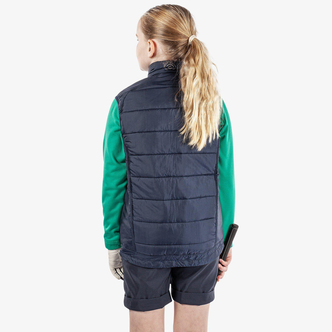 Raymond is a Windproof and water repellent golf vest for Juniors in the color Navy(3)