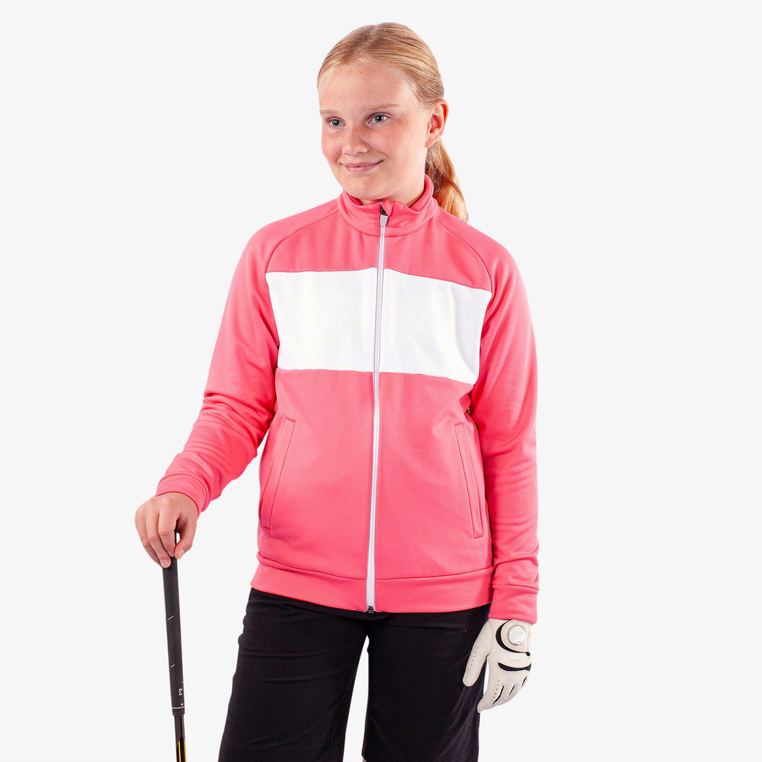 Rex is a Insulating golf mid layer for Juniors in the color Camelia Rose/White(1)