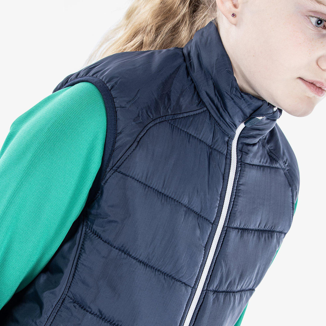 Raymond is a Windproof and water repellent golf vest for Juniors in the color Navy(6)
