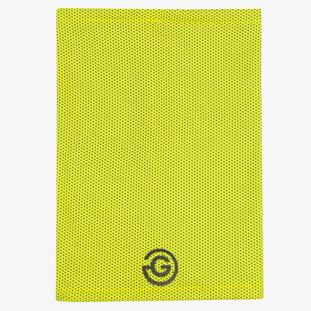 Derek is a Insulatin neck warmer in the color Sunny Lime(4)