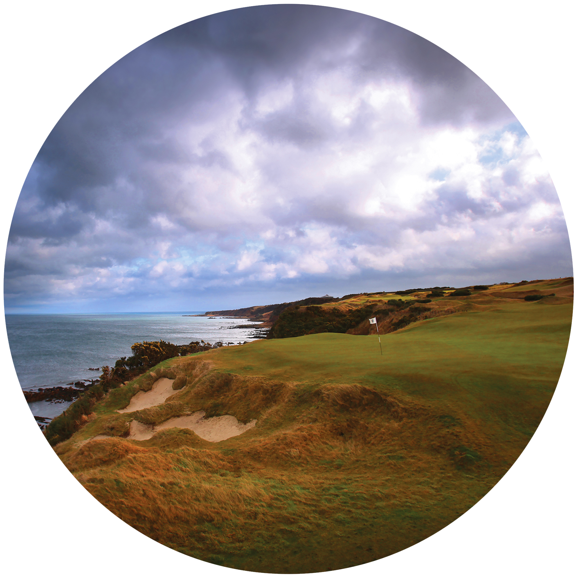 Galvin 2025 green andres