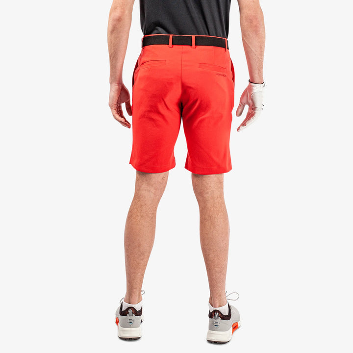 Paul is a Breathable golf shorts for Men in the color Red(6)