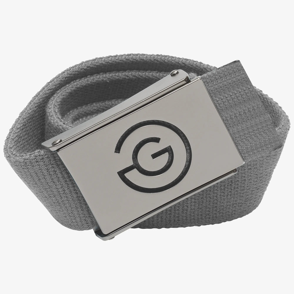 Ward is a Elastic golf belt in the color Sharkskin(0)
