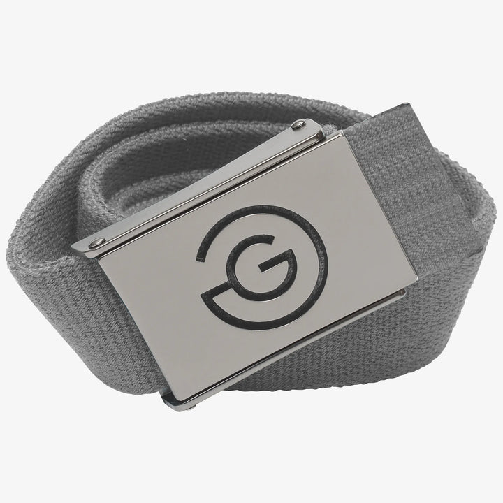 Ward is a Elastic golf belt in the color Sharkskin(0)