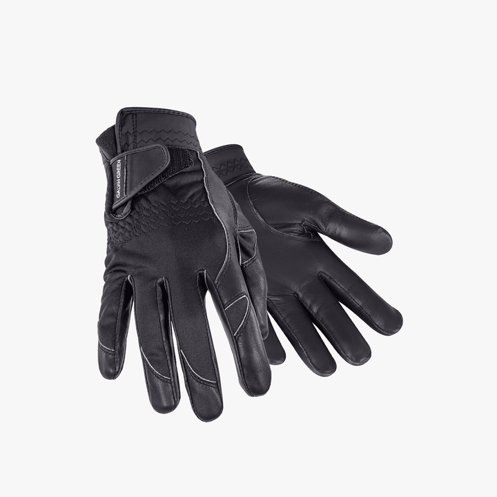 Lewis is a Windproof gloves for  in the color Black(1)