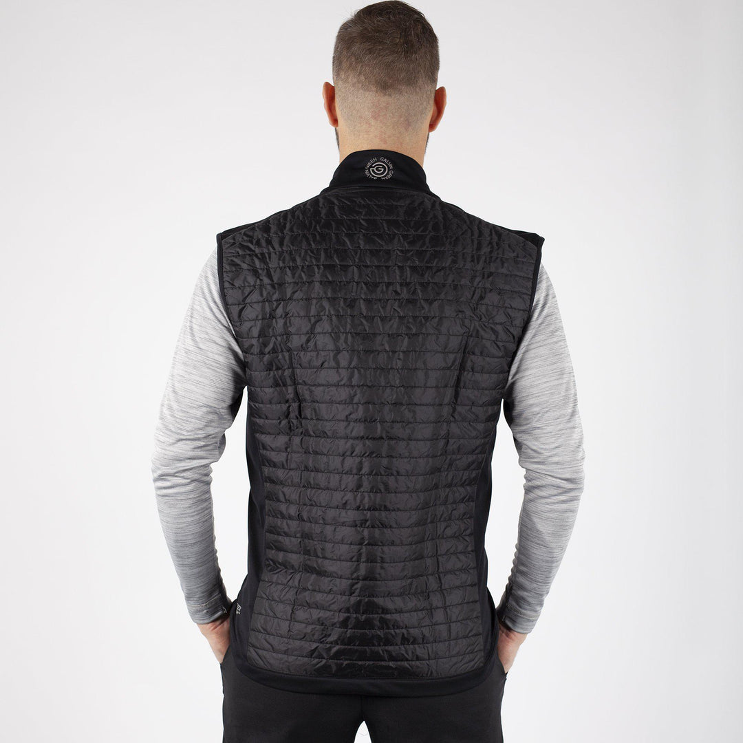 Louie is a Windproof and water repellent vest for Men in the color Black(2)