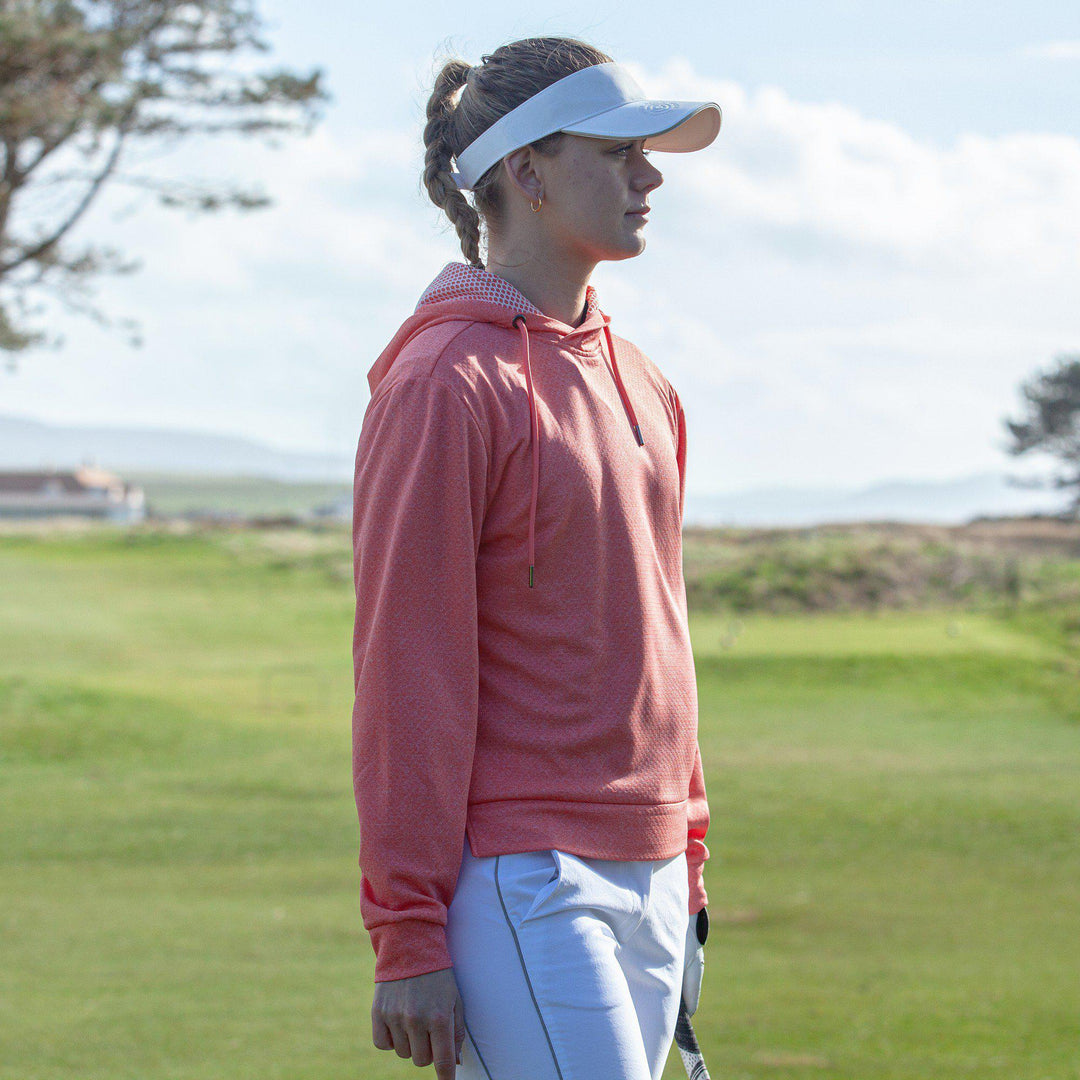 Dagmar is a Insulating golf sweatshirt for Women in the color Coral Melange(13)