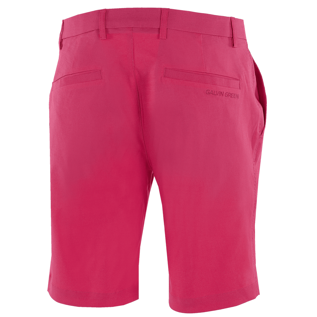 Paul is a Breathable shorts for Men in the color Light Pink(7)